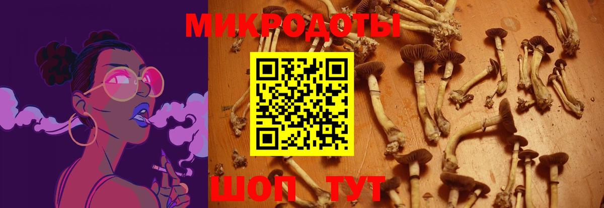 Балашиха  Псилоцибиновые грибы мухоморы  Вход с VPN 