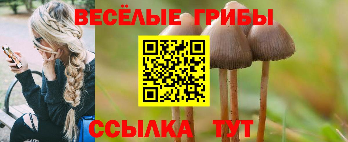 Галлюциногенные грибы MAGIC MUSHROOMS Балашиха