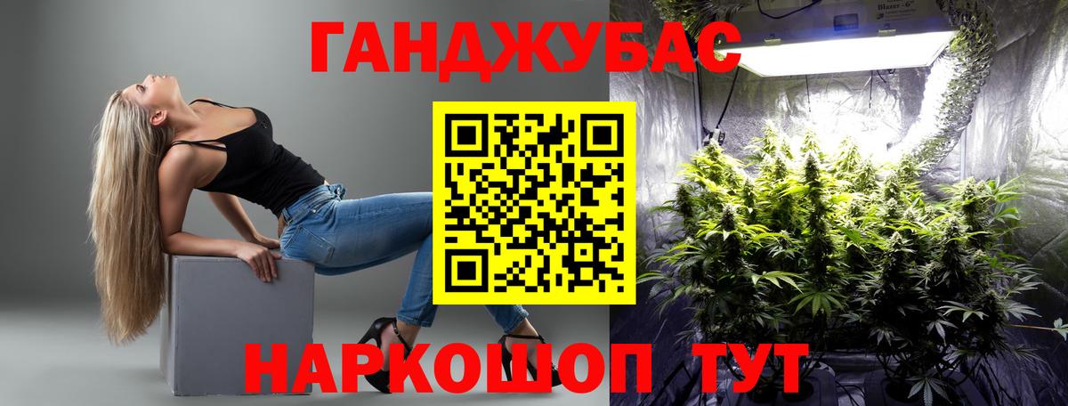 Марихуана Bruce Banner  Бошки марихуана марихуана  Балашиха  Каннабис OG Kush  Бошки марихуана план  Вход с VPN 